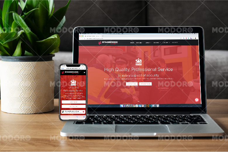 Dự án website stambridge phát triển bởi MODORO